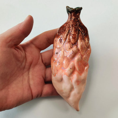 Salmonfruit - strange fruits