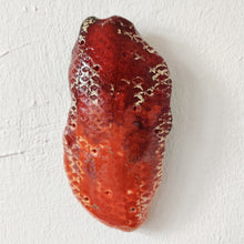 Indlæs billede til gallerivisning Flesh fruit væghængt